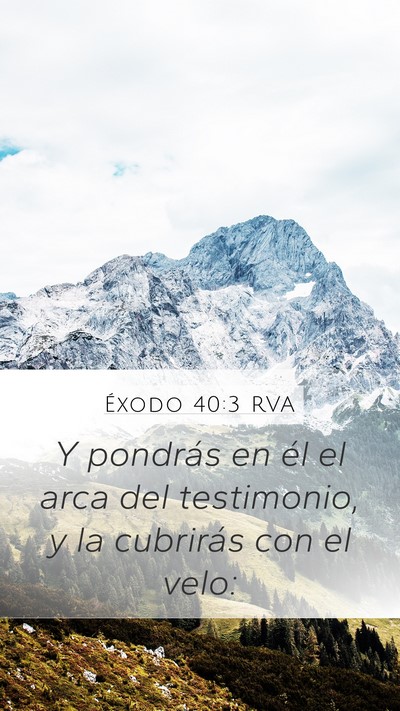 Éxodo 40:3 RVA Bible Verse Image