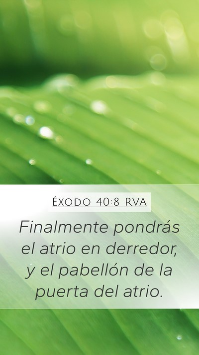 Éxodo 40:8 RVA Mobile Phone Wallpaper - Finalmente pondrás el atrio en derredor, y el - Mobile Bible Verse Wallpaper