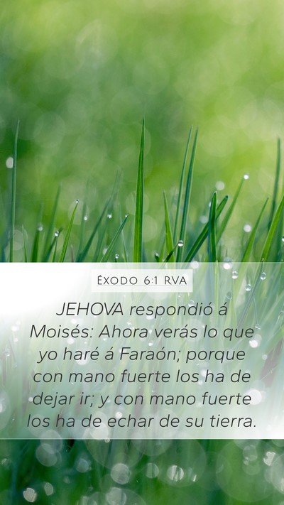 Éxodo 6:1 RVA Bible Verse Image