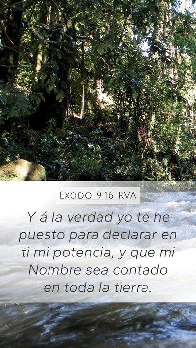 Éxodo 9:16 RVA Bible Verse Image